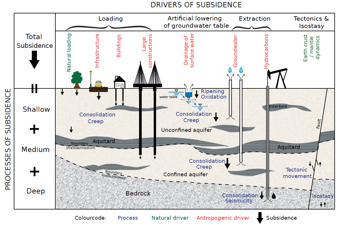 Main drivers and process of subsidence in a deltaic system